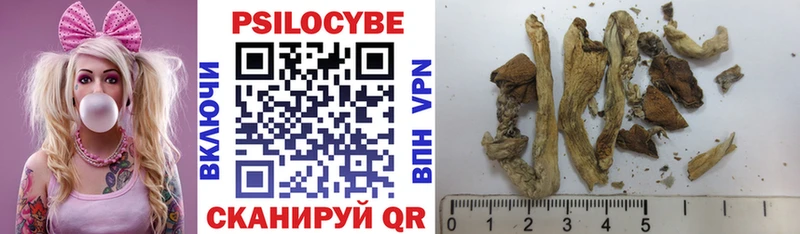 Псилоцибиновые грибы Psilocybe  мега онион  Корсаков 